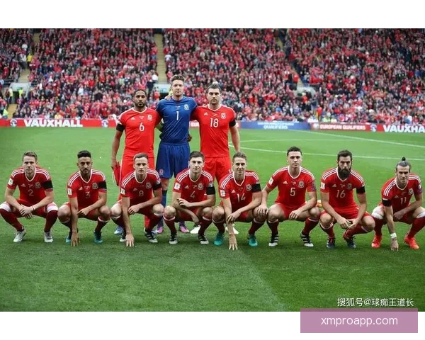 世界杯竞猜赔率深度解析及热门球队胜负趋势全面预测